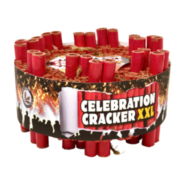 Lesli Celebration Cracker XXL