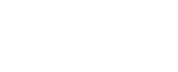 FWL white - Feuerwerkland
