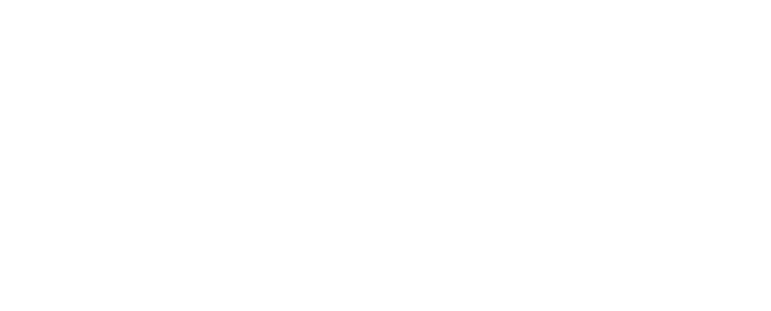 zink - Feuerwerkland