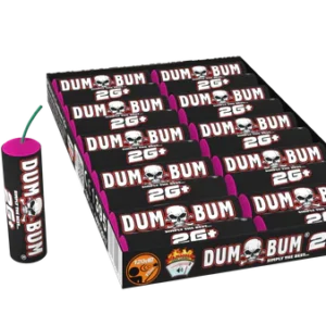 DumBum 2G+