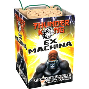 Lesli Ex Machina